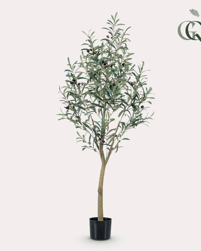 Kunst Olijfboom -  Olea europaea - Olijfboom - ↕ 140 cm
