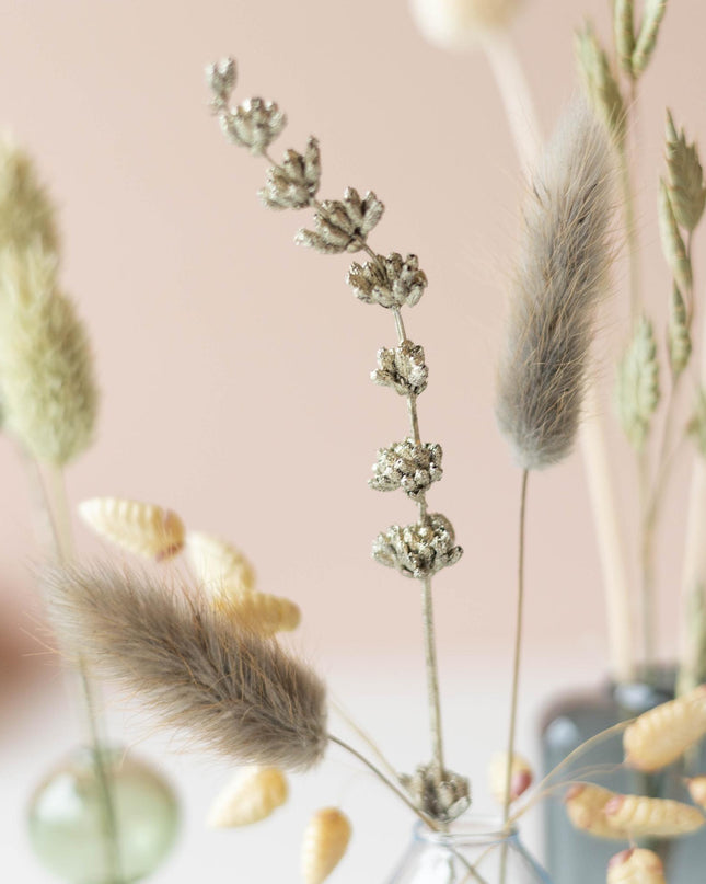 Dried Beauty - Brievenbuscadeau