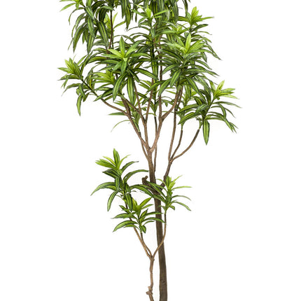 Kunstplant - Dracaena - Drakenboom - ↕ 190 cm