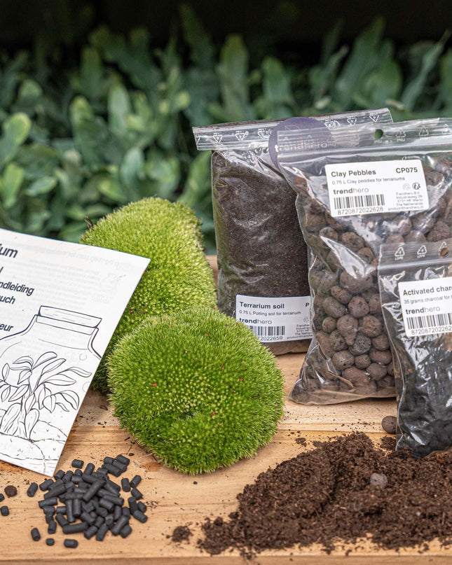 Planten terrarium - Navulling & startpakket - Maat S/M - DIY