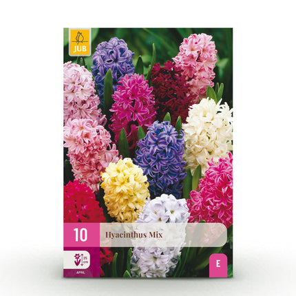 Bloembollen - Hyacinth mix - Diversen Kleuren - 10 stuks - Bolmaat 14/15 - XXL Pack