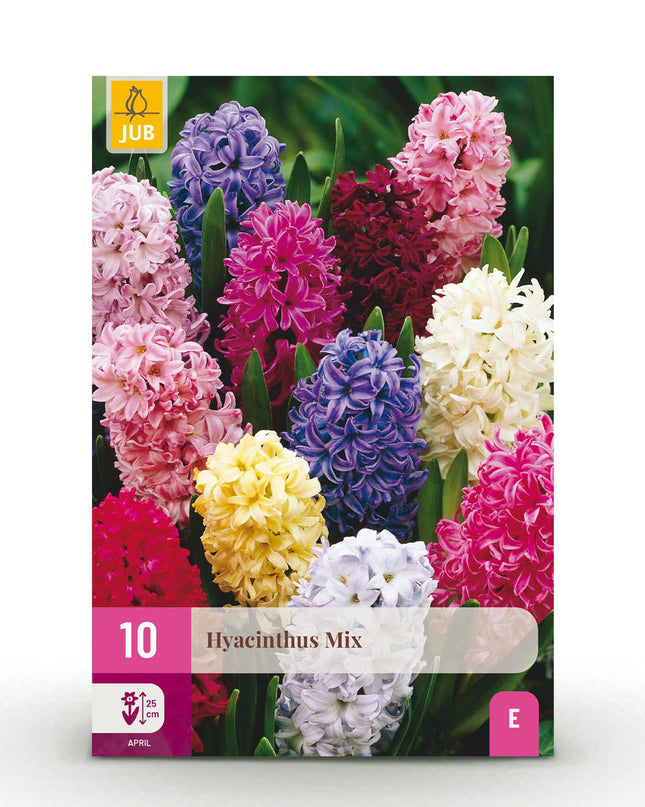 Bloembollen - Hyacinth mix - Diversen Kleuren - 10 stuks - Bolmaat 14/15 - XXL Pack