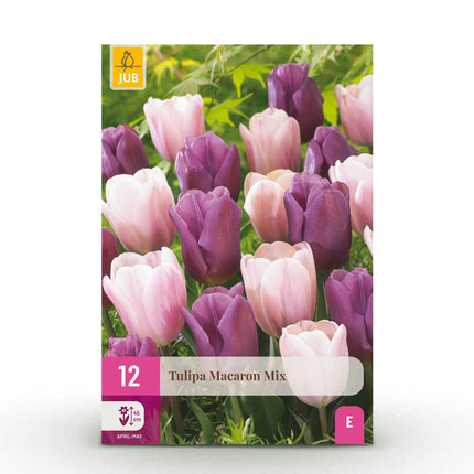 Bloembollen - Tulp Macron mix - Diversen Kleuren - 12 stuks - Bolmaat 11/12 - XXL Pack
