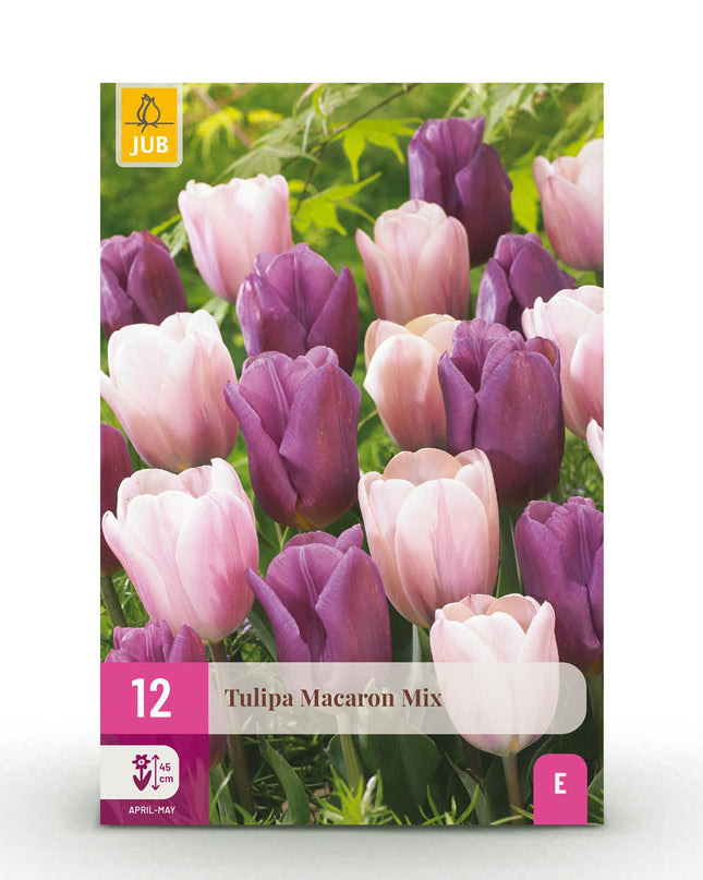Bloembollen - Tulp Macron mix - Diversen Kleuren - 12 stuks - Bolmaat 11/12 - XXL Pack