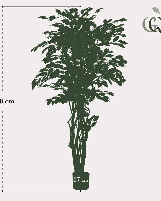 Kunstplant - Ficus liana  - Vioolbladplant - ↕ 170cm