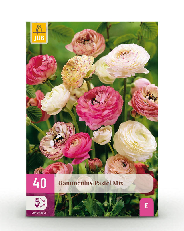 Bloembollen - Ranunculus Pastel Mix - Diversen Kleuren - 40 stuks - Bolmaat 5/6 - XXL Pack