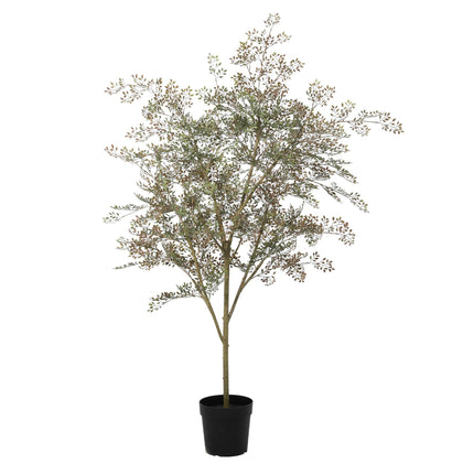 Planta artificial Bucida - 165cm