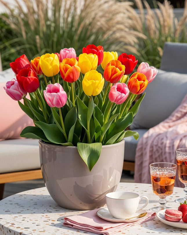 Bloembollen - Tulp Darwin Hybride Mix - Diversen Kleuren - 40 stuks - Bolmaat 10/12