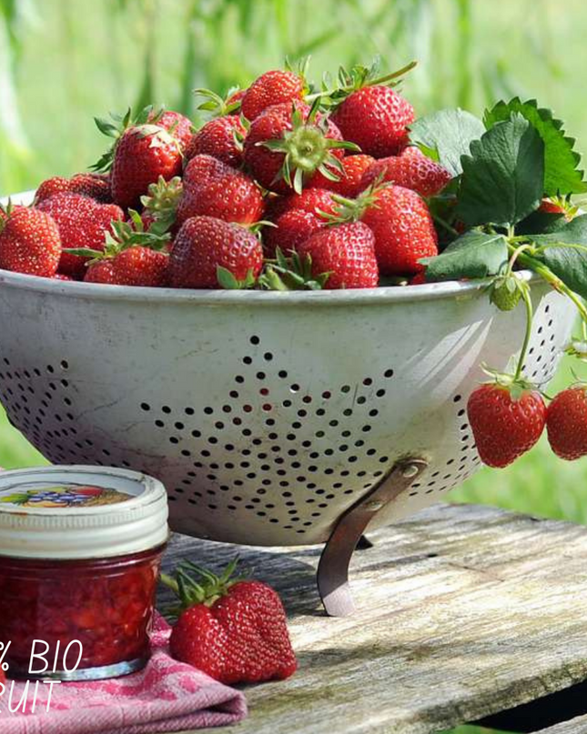 Piante di fragole BIO 6 pezzi