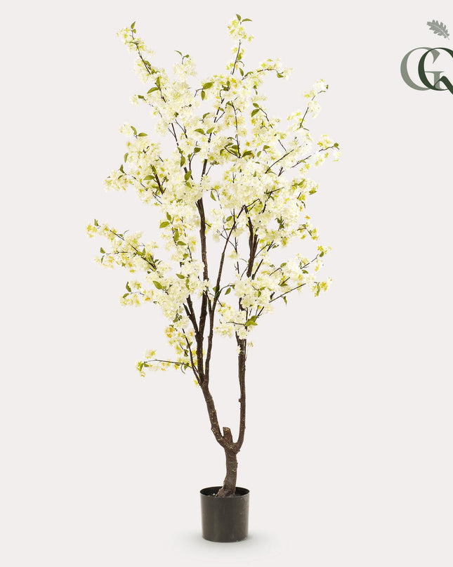 Kunstplant - Prunus - Kersenbloesem - Wit - ↕ 210cm