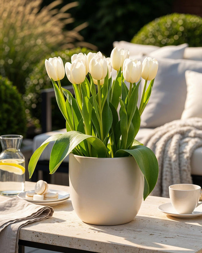 Bloembollen - Tulp Triumph White - Kleur Wit - 15 stuks - Bolmaat 11/12 - XXL Pack