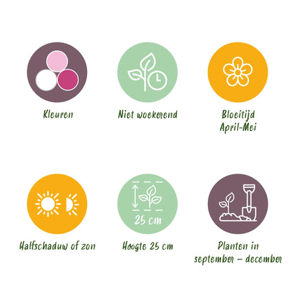 Bloembollen - Hyacinth Pastel mix - Diversen Pastel Kleuren - 10 stuks - Bolmaat 14/15 - XXL Pack