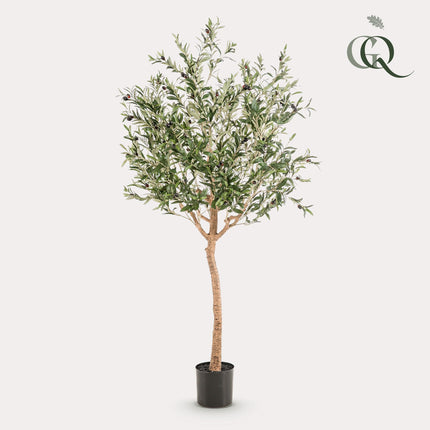 Kunst Olijfboom -  Olea europaea - Olijfboom - ↕ 180 cm