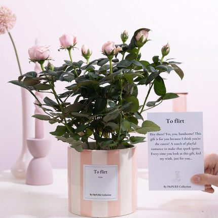 Rosa Light Pink Gift "To Flirt" met wenskaart - Ø12cm - ↕30cm