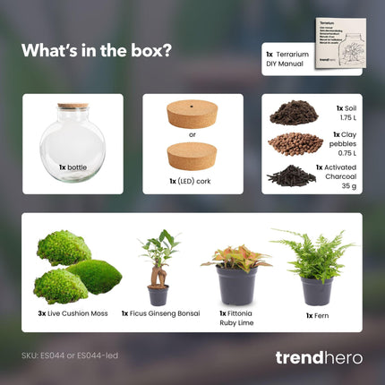 DIY Planten terrarium met licht - Bolder Bob Bonsai - Ø 31 cm ↕ 30 cm