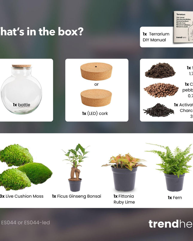 DIY Planten terrarium met licht - Bolder Bob Bonsai - Ø 31 cm ↕ 30 cm