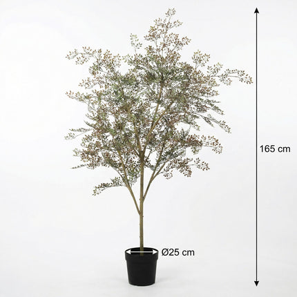 Planta artificial Bucida - 165cm
