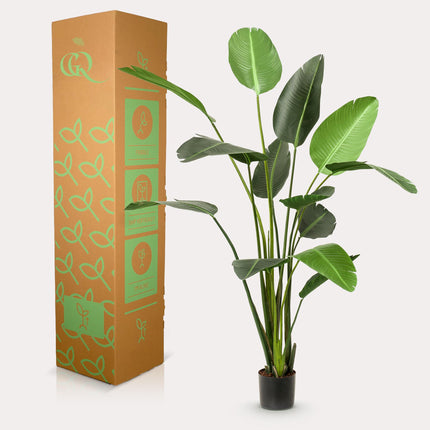 Kunstplant - Strelitzia Nicolai - Paradijsvogelbloem -  ↕ 230cm