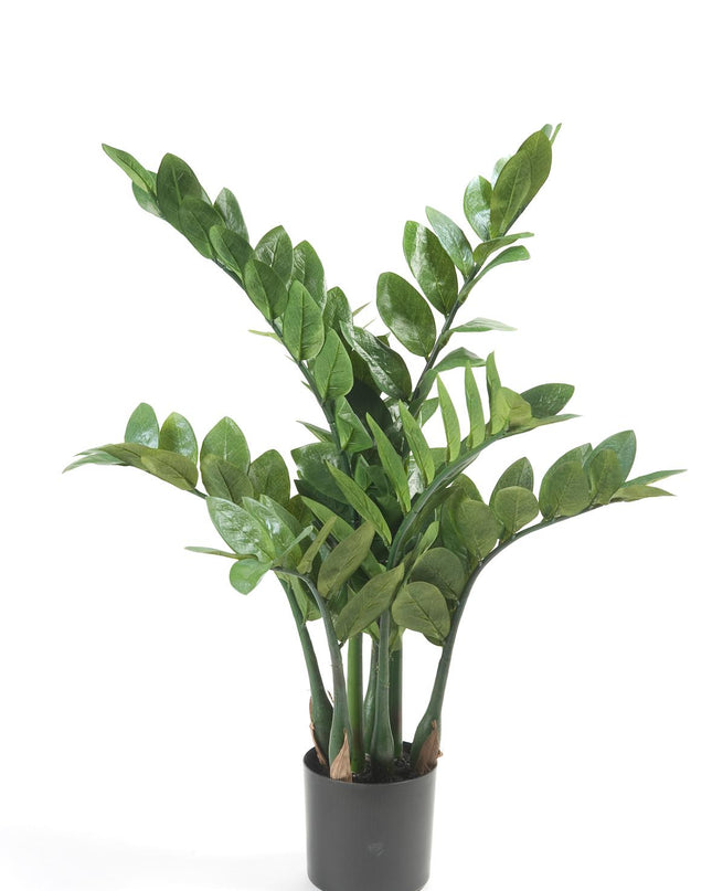 Kunstplant - Zamioculcas - Kamerpalm - ↕ 70 cm