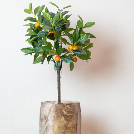 Kunstplant - Citrus Sinensis - Sinaasappelboom - ↕ 75 cm