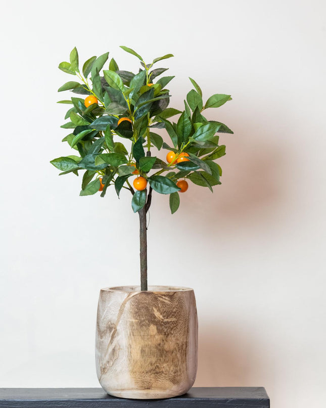 Kunstplant - Citrus Sinensis - Sinaasappelboom - ↕ 75 cm