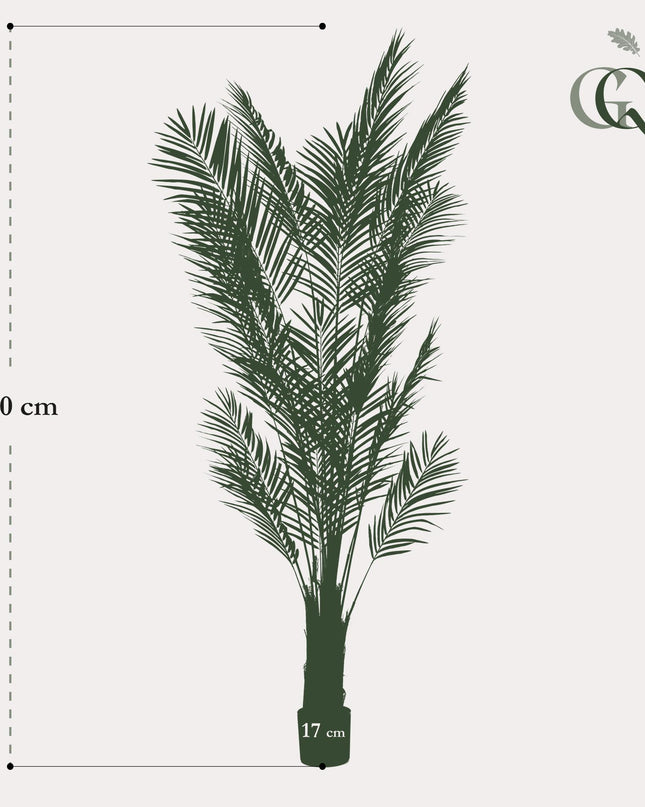 Kunstplant - Areca Lutescens - Goudpalm - ↕ 240cm