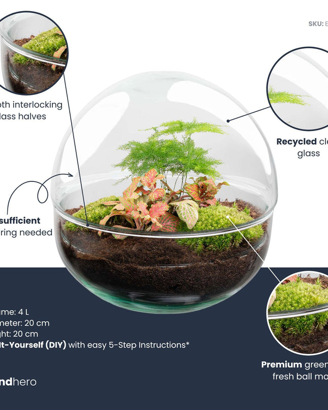 DIY Planten terrarium tweedelig bolglas - Dome Red - Ø 20 cm ↑ 20 cm   - Normal