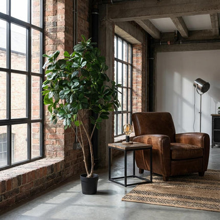 Planta artificial Ficus Lyrata - 180cm