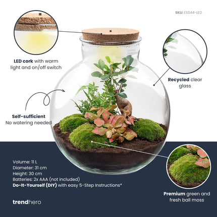 DIY Planten terrarium met licht - Bolder Bob Bonsai - Ø 31 cm ↕ 30 cm