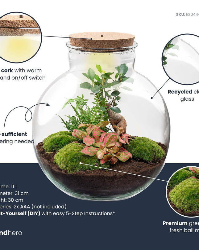 DIY Planten terrarium met licht - Bolder Bob Bonsai - Ø 31 cm ↕ 30 cm