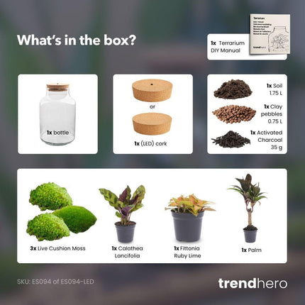 DIY Planten terrarium met licht - Milky Palm - Ø 21 cm ↕ 30 cm