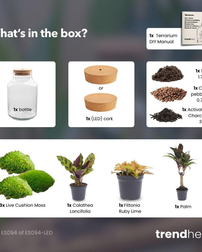 DIY Planten terrarium met licht - Milky Palm - Ø 21 cm ↕ 30 cm