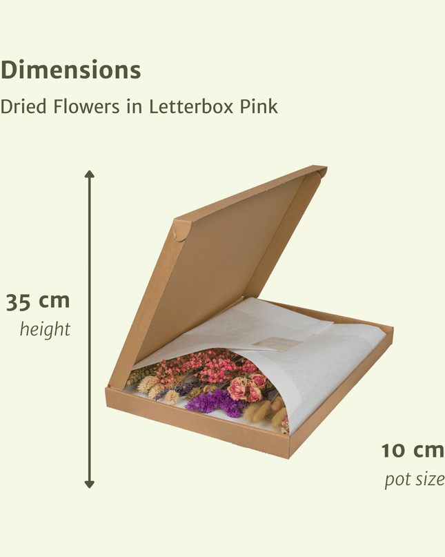 Droogbloemen in Letterbox - Pink