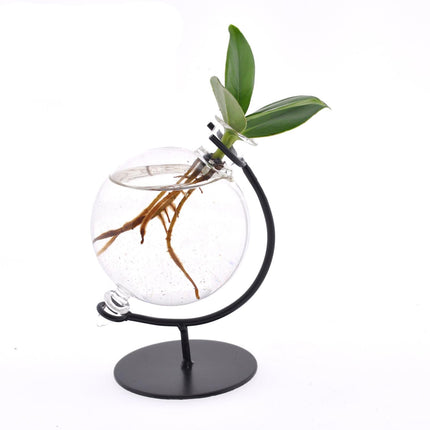 Clusia In Victoria Glas - Ø5cm - ↕10cm - Intenz