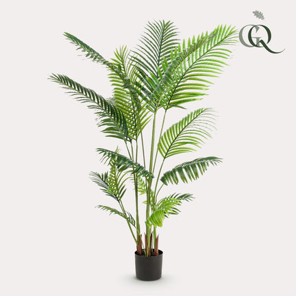 Kunstplant - Howea Forsteriana  - ↕ 160 cm