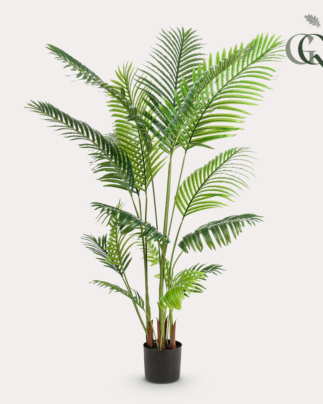 Kunstplant - Howea Forsteriana  - ↕ 160 cm