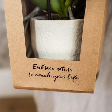 Gift bag for Orchid with Decorative Pot 9cm