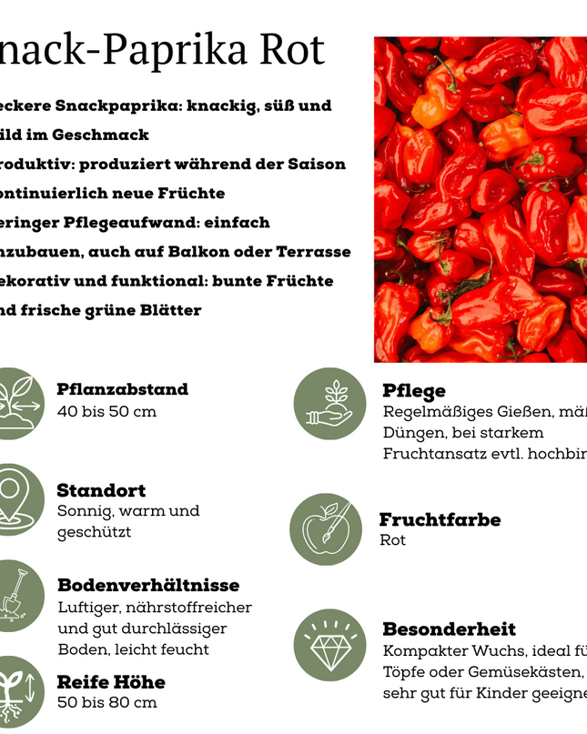 Red Harvest Vegetable Mix of 3 Plants - Cherry Tomato - Red Snack Pepper - Red Hot Pepper Plant - Ø 14 cm - ↨ 45 cm