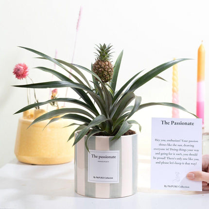 Ananas Rosita Gift "The Passionate" met wenskaart! - Ø12cm - ↕35cm