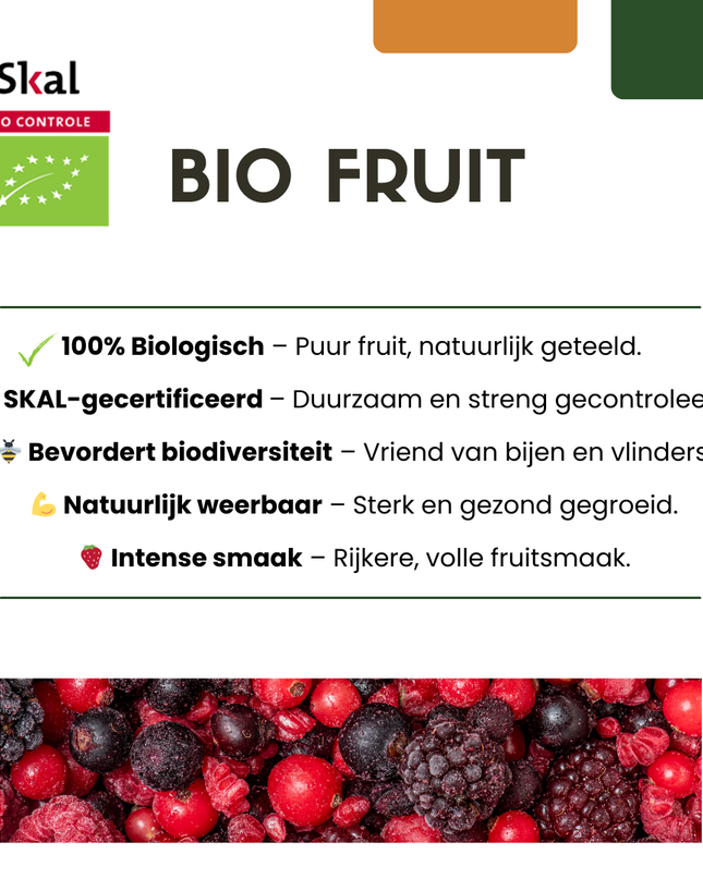 Alberi di fichi BIO - 6 pezzi - Ø 13 cm - ↨ 20 cm