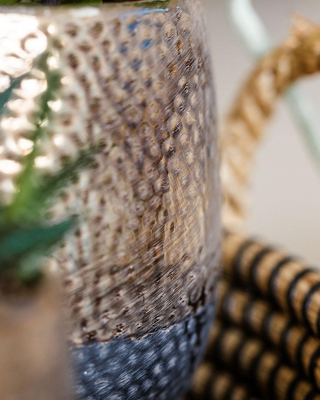 Kolibri Company | Gift set Urban Nature | Plantenset met Phalaenopsis Orchidee en Succulenten incl. keramieken sierpotten