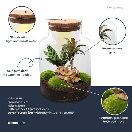 DIY Planten terrarium met licht - Milky Palm - Ø 21 cm ↕ 30 cm