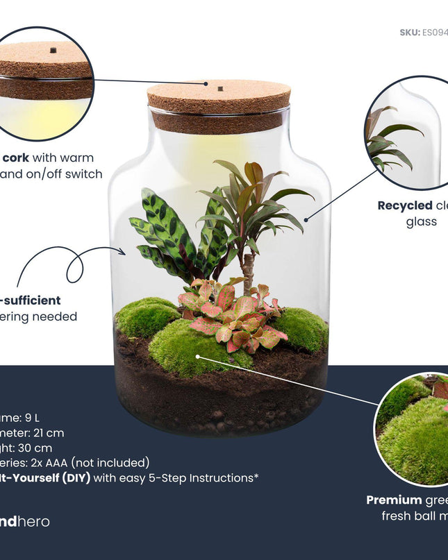 DIY Planten terrarium met licht - Milky Palm - Ø 21 cm ↕ 30 cm