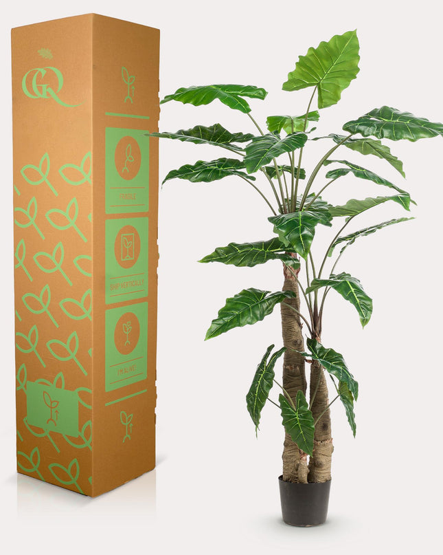 Kunstplant - Alocasia - Olifantsoor - ↕ 180 cm