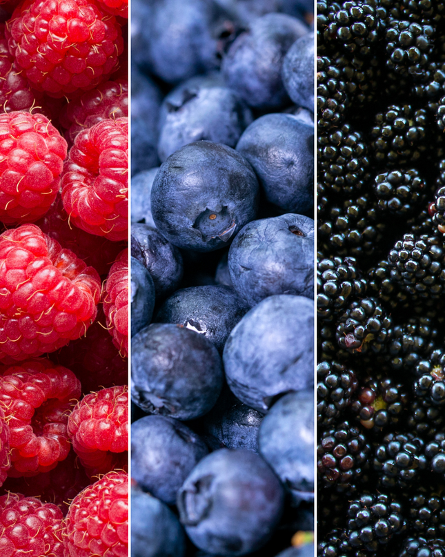 Mix di piante da frutto BIO 3 pezzi - Lampone/ Mirtillo/ Mora