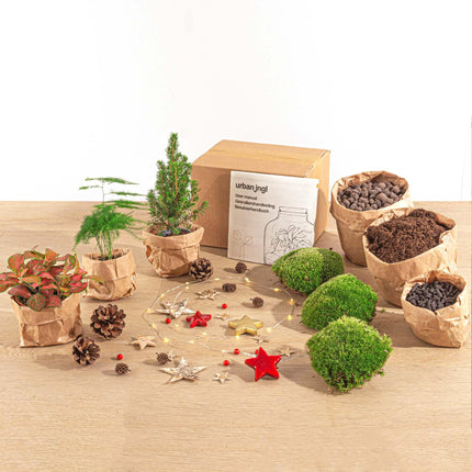 DIY Kerst Terrarium - Mini-kerstboom  - Planten terrarium pakket - 3 planten -  Navulling & Startpakket