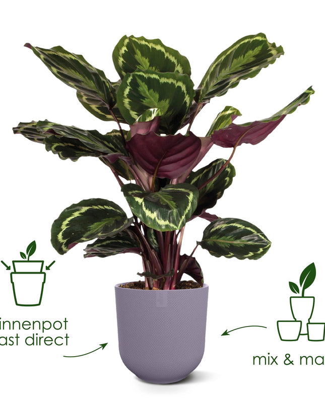 Pot elho Jazz Round tuscan red - D14 x H13