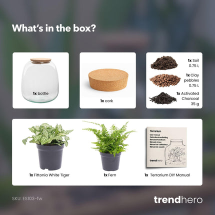 DIY Planten terrarium - Emma Mini - ↕ 20 cm - Ø 19 cm - Fittonia White Tiger