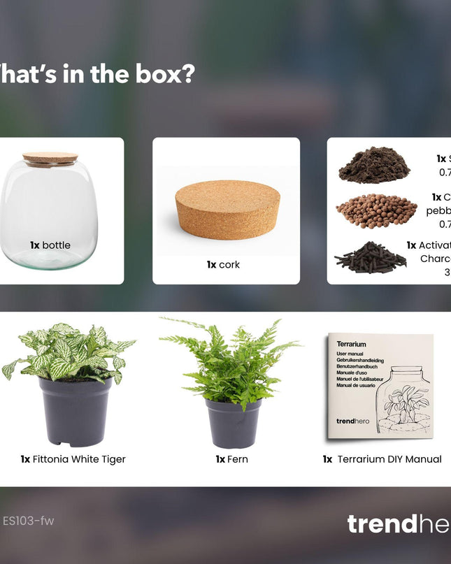 DIY Planten terrarium - Emma Mini - ↕ 20 cm - Ø 19 cm - Fittonia White Tiger