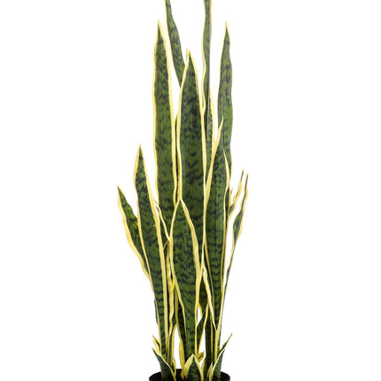 Kunstplant - Sanseveria Trifasciata - Vrouwentong - ↕ 97 cm